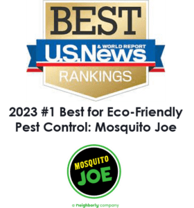 us news best pest control 