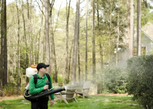 Mosquito Joe technician applying Mosquito Control Treatments